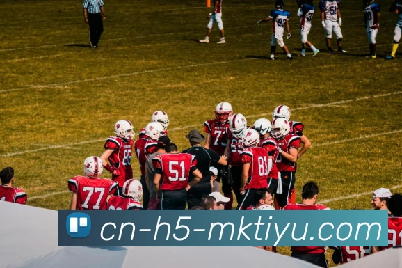 MK体育品牌故事