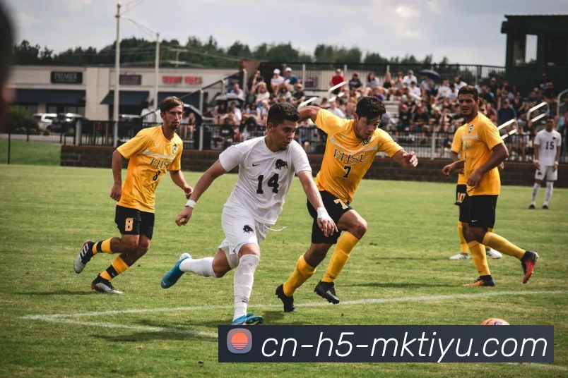 MK体育服务体系